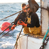 La Perle des Dieux' staff at sea, busy fishing