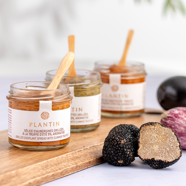 Coming Soon! Plantin's Duo of Grilled Eggplant & Grilled Zucchini W/ Summer Truffles