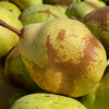 Le Presseur d'Ici's Pure Fruit Nectars