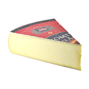 A piece of the Comté cheese