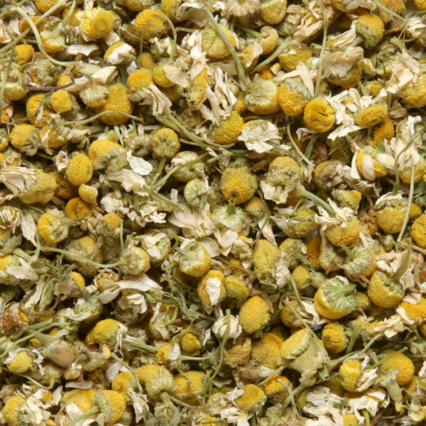 Back Soon! Camomille matricaire (Chamomile) Herbal Tea