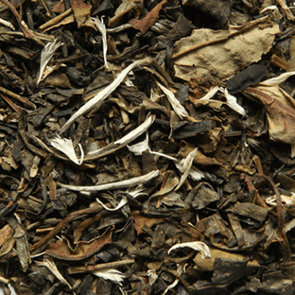 A Must! Thé des Neiges Tea