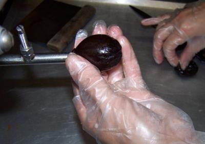 Favols' staff stuffing the plum-prunes