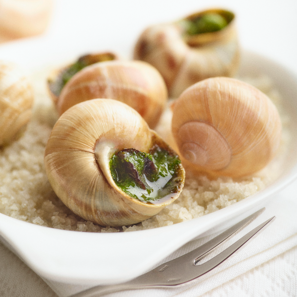 Snails in shells, Provençal recipe – Douce France