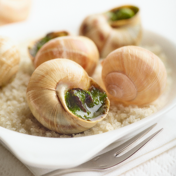 Snails in shells, Provençal recipe