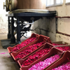 Crates of petals of flowers ready for the preparation of syrups