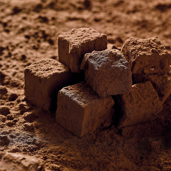 Voisin's Fresh Truffles