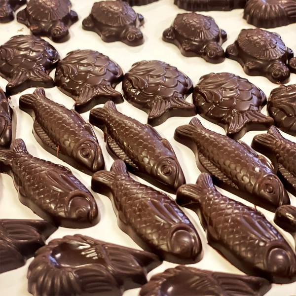 Easter fish and tortoise shaped chocolates