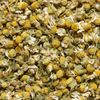 Camomille matricaire (Chamomile) Herbal Tea