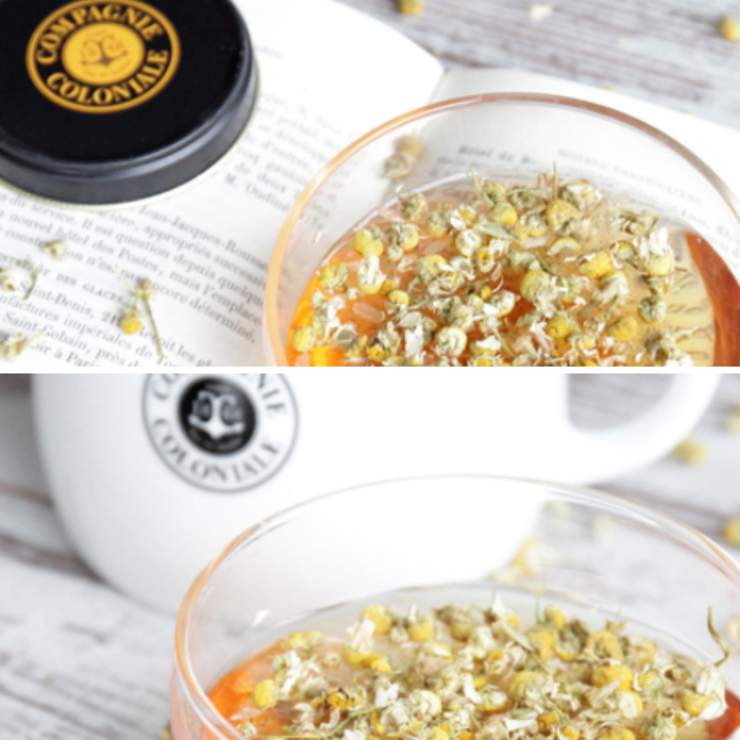 Camomille matricaire (Chamomile) Herbal Tea