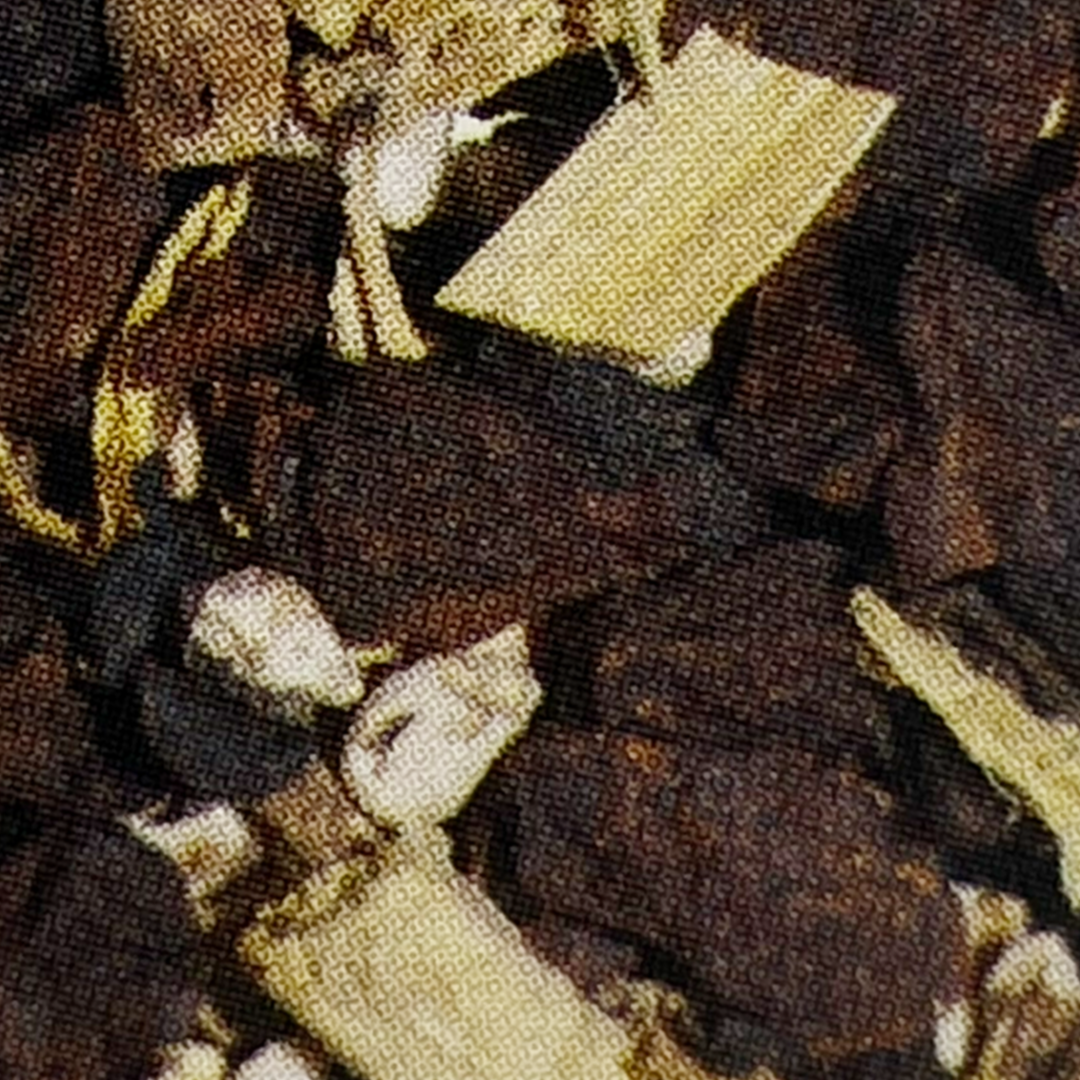 Ventre Plat (Flat Belly) Tea